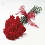 Carnations
