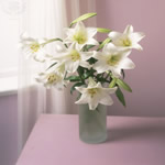 White Lilies